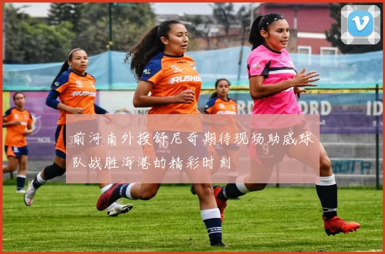 前河南外援舒尼奇期待现场助威球队战胜海港的精彩时刻